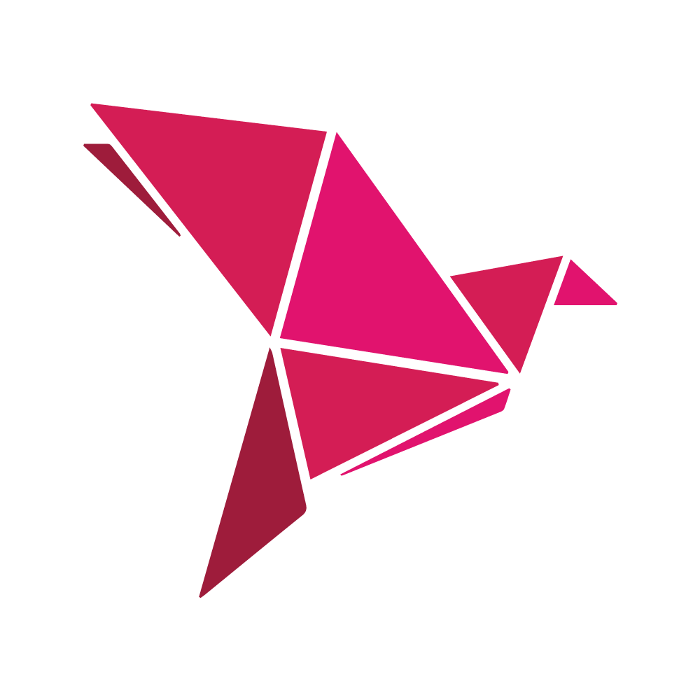 bKash White Logo PNG Transparent